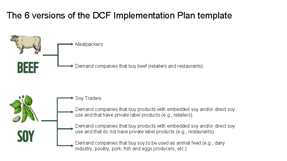 The 6 versions of the DCF Implementation Plan template Meatpackers Demand companies that buy