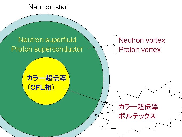 Neutron star Neutron superfluid Proton superconductor Neutron vortex Proton vortex カラー超伝導 （ＣＦＬ相） カラー超伝導 ボルテックス