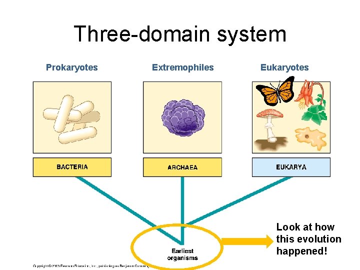 Three-domain system Prokaryotes Extremophiles Eukaryotes Look at how this evolution happened! 