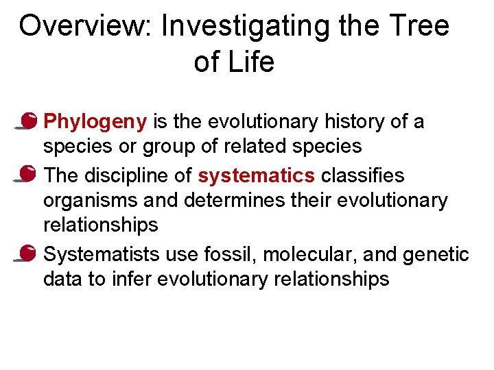 Overview: Investigating the Tree of Life • Phylogeny is the evolutionary history of a
