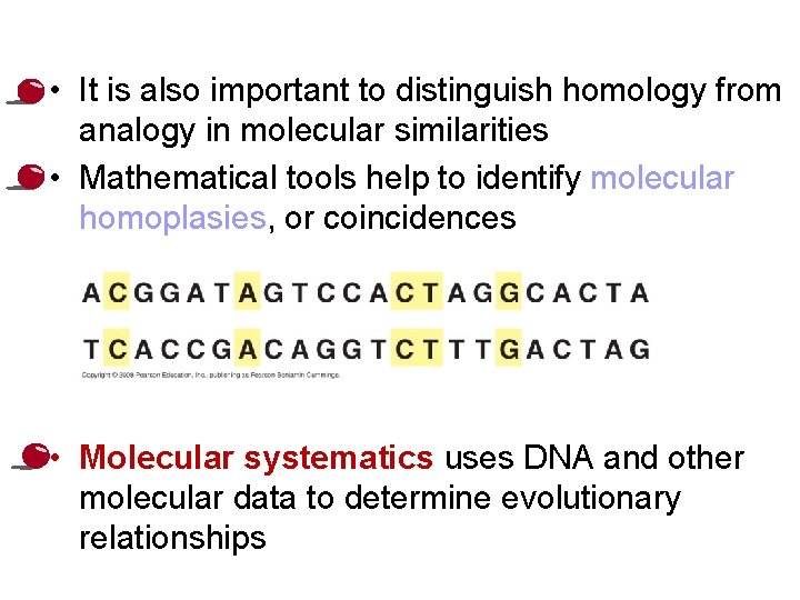  • It is also important to distinguish homology from analogy in molecular similarities