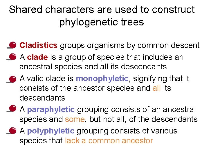 Shared characters are used to construct phylogenetic trees • Cladistics groups organisms by common