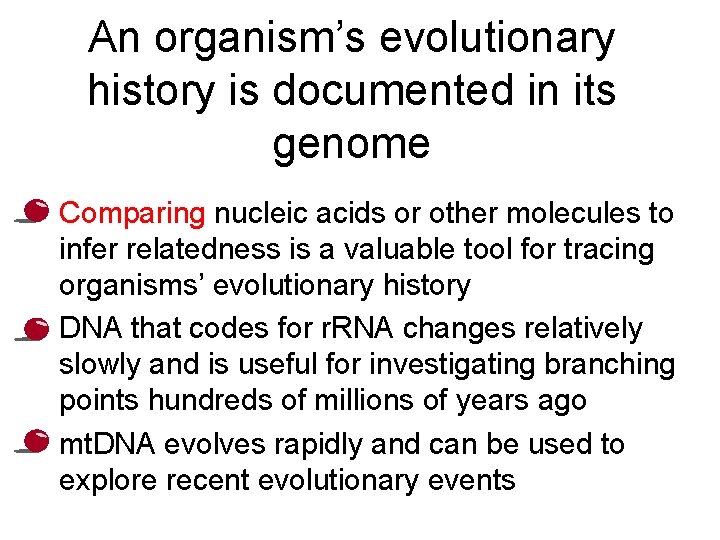 An organism’s evolutionary history is documented in its genome • Comparing nucleic acids or