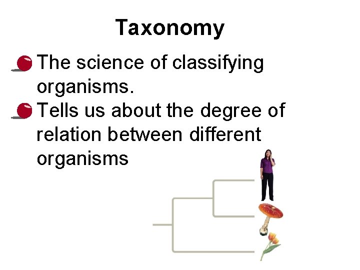 Taxonomy • The science of classifying organisms. • Tells us about the degree of