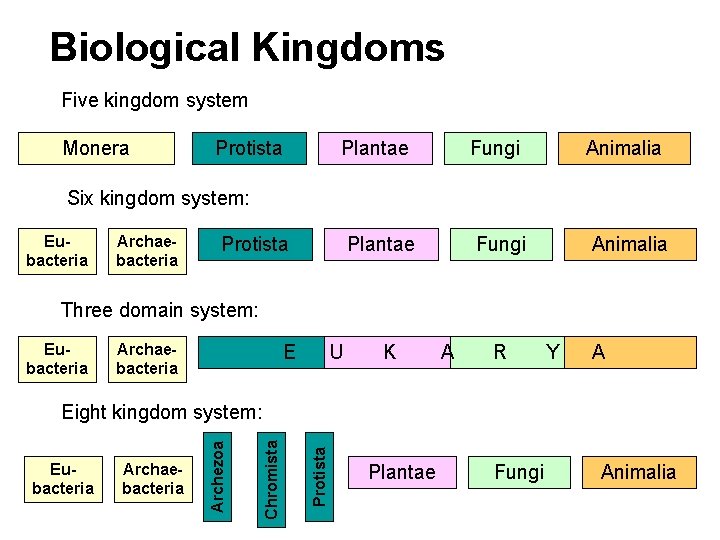 Biological Kingdoms Five kingdom system Monera : Protista Plantae Fungi Animalia Six kingdom system: