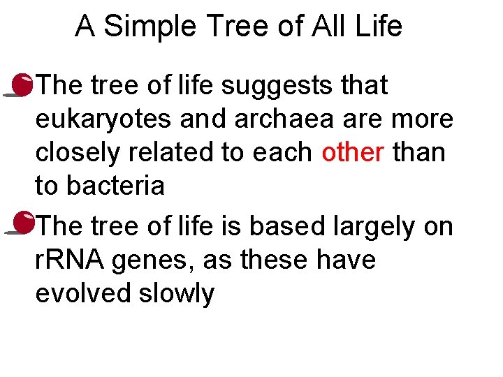 A Simple Tree of All Life • The tree of life suggests that eukaryotes
