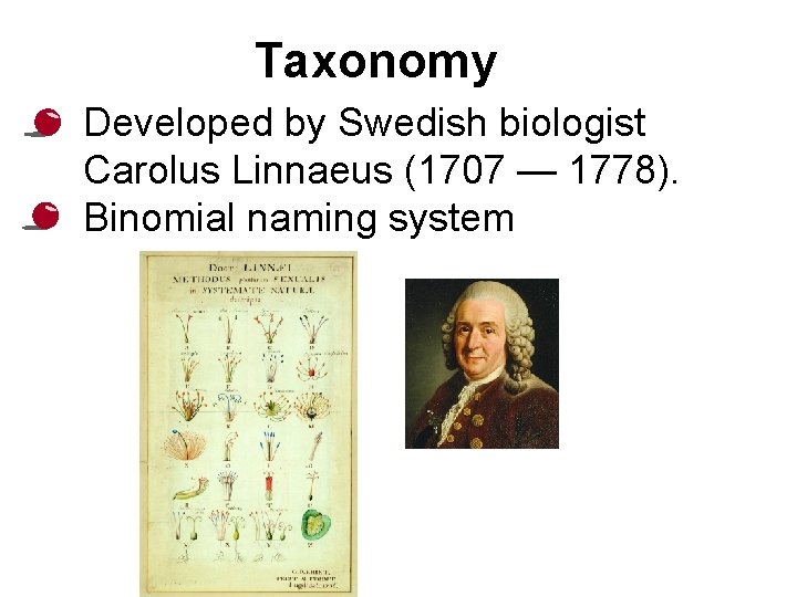 Taxonomy • Developed by Swedish biologist Carolus Linnaeus (1707 — 1778). • Binomial naming