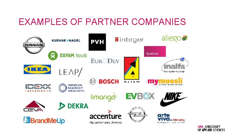 EXAMPLES OF PARTNER COMPANIES 
