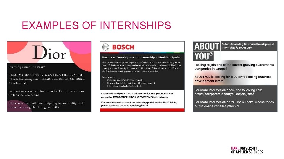 EXAMPLES OF INTERNSHIPS 