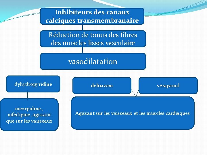 Inhibiteurs des canaux calciques transmembranaire Réduction de tonus des fibres des muscles lisses vasculaire