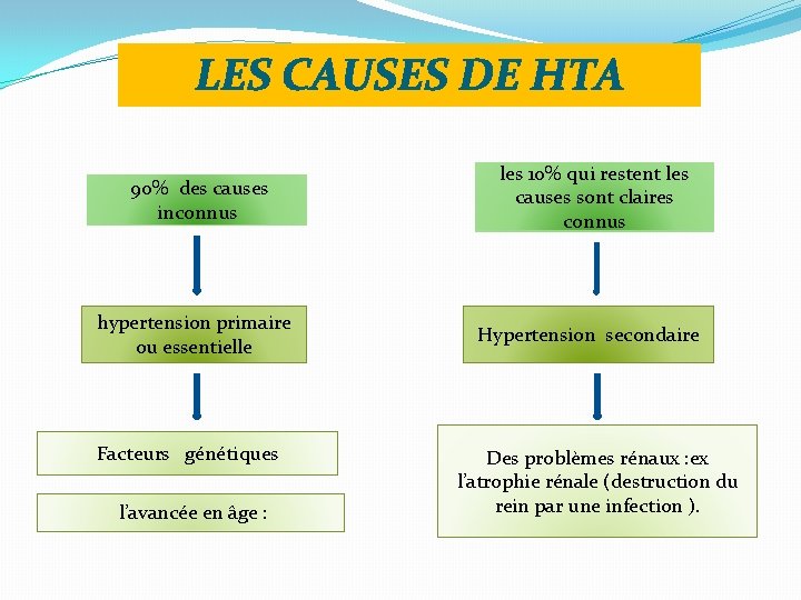 LES CAUSES DE HTA 90% des causes inconnus hypertension primaire ou essentielle Facteurs génétiques