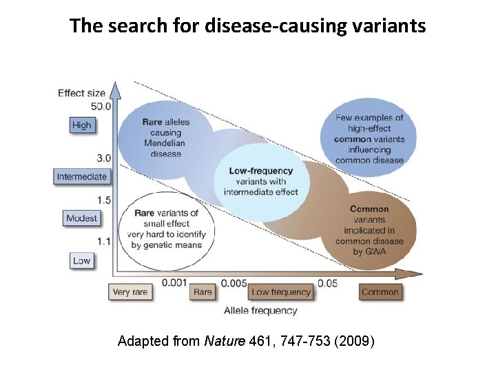 The search for disease-causing variants Adapted from Nature 461, 747 -753 (2009) 