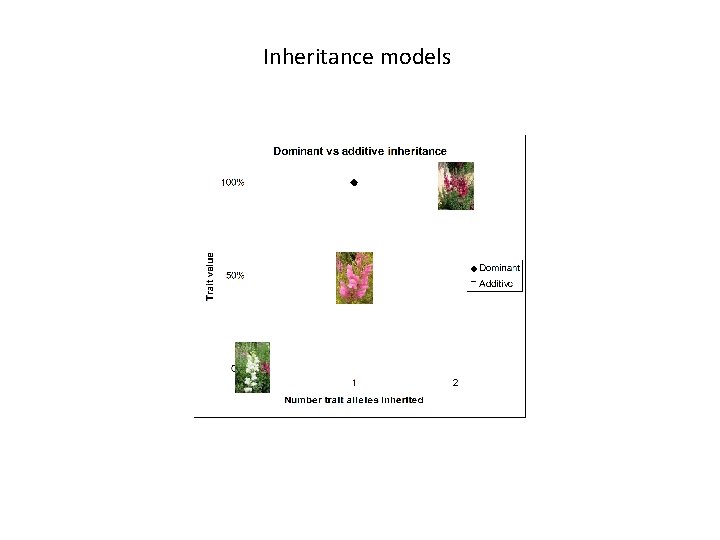 Inheritance models 