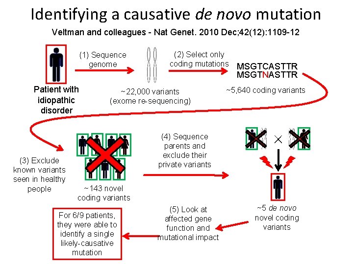 Identifying a causative de novo mutation Veltman and colleagues - Nat Genet. 2010 Dec;