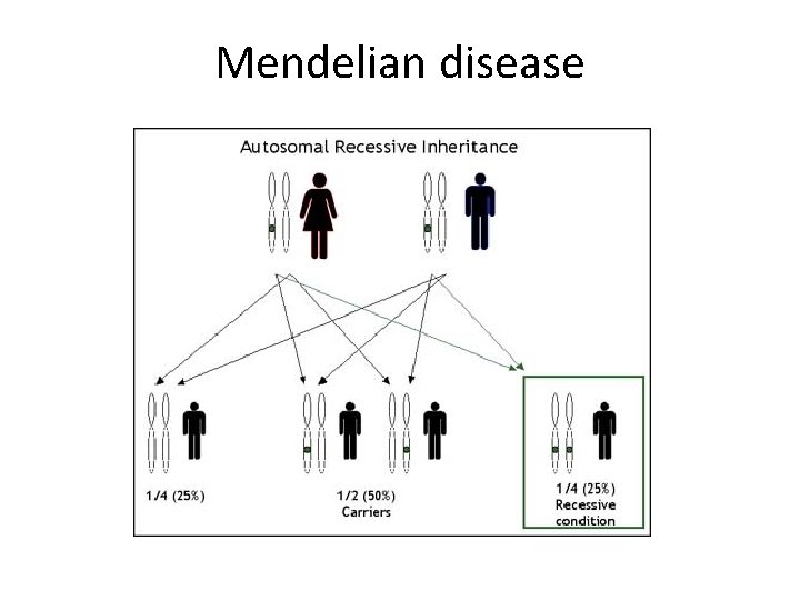 Mendelian disease 