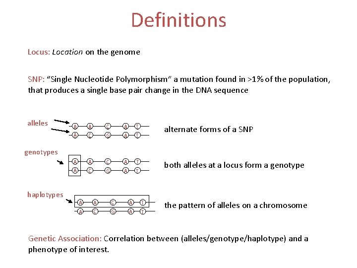 Definitions Locus: Location on the genome SNP: “Single Nucleotide Polymorphism” a mutation found in