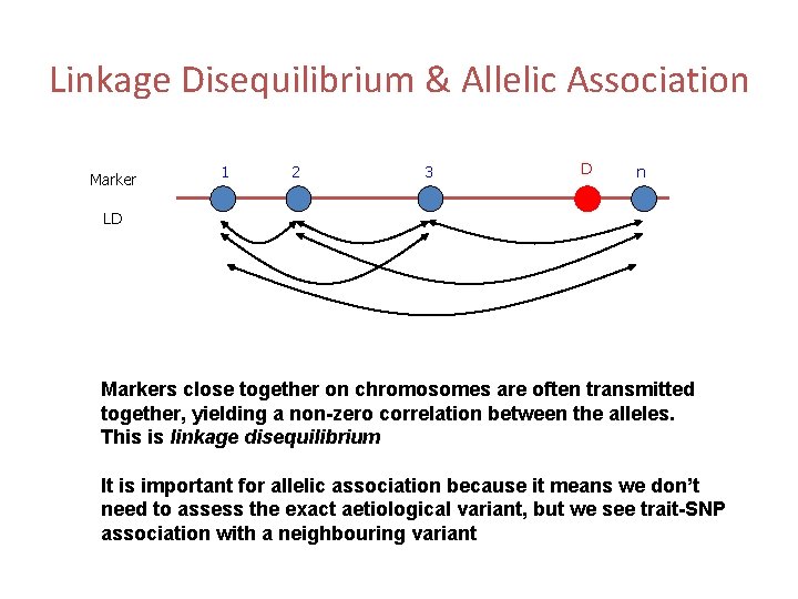 Linkage Disequilibrium & Allelic Association Marker 1 2 3 D n LD Markers close