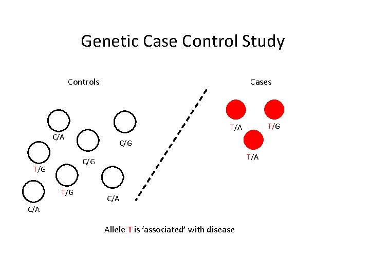 Genetic Case Control Study Controls Cases C/A C/G T/G T/G T/A C/A Allele T