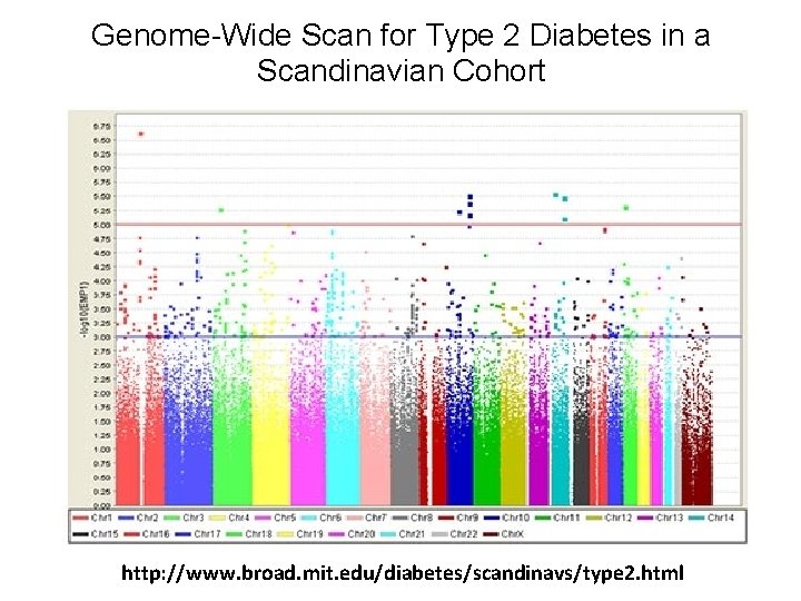 Genome-Wide Scan for Type 2 Diabetes in a Scandinavian Cohort http: //www. broad. mit.