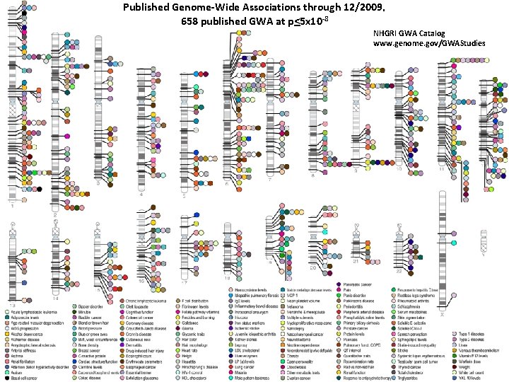 Published Genome-Wide Associations through 12/2009, 658 published GWA at p<5 x 10 -8 NHGRI