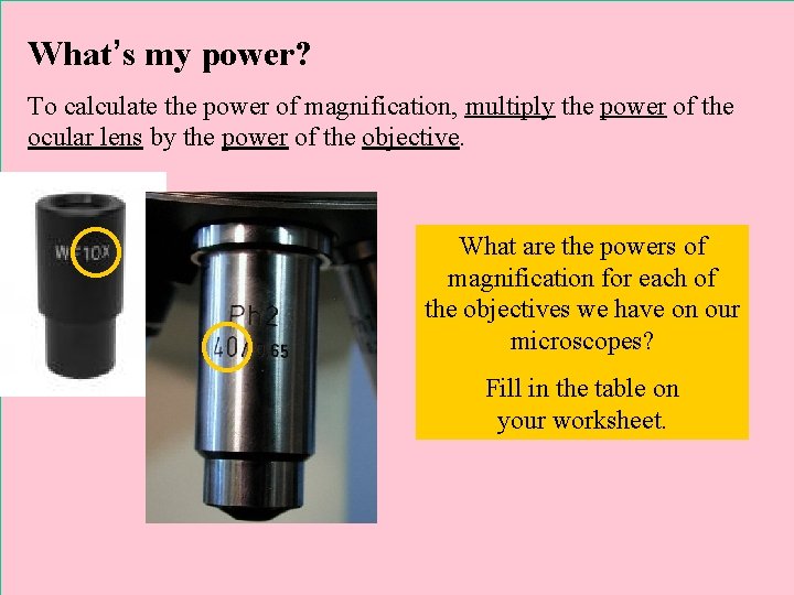 What’s my power? To calculate the power of magnification, multiply the power of the