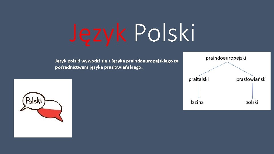 Język Polski Język polski wywodzi się z języka praindoeuropejskiego za pośrednictwem języka prasłowiańskiego. 