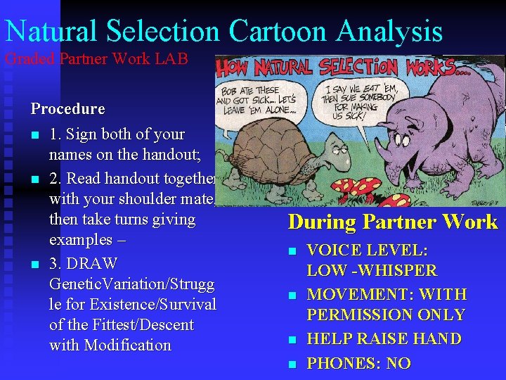 Natural Selection Cartoon Analysis Graded Partner Work LAB Procedure n 1. Sign both of