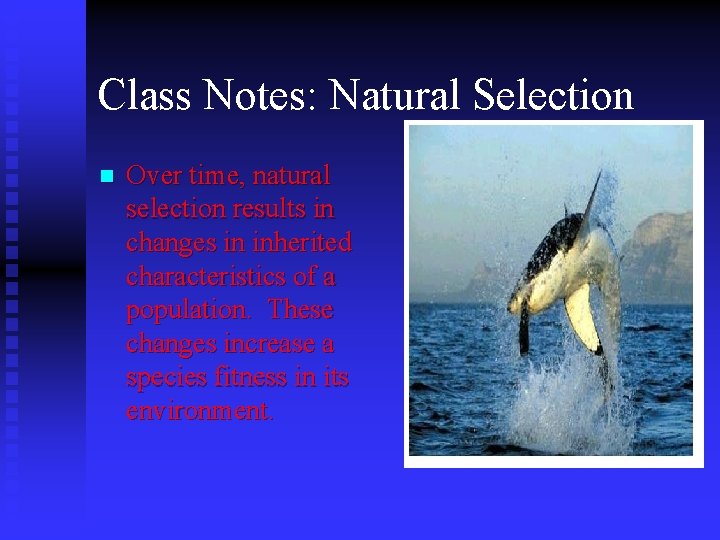 Class Notes: Natural Selection n Over time, natural selection results in changes in inherited