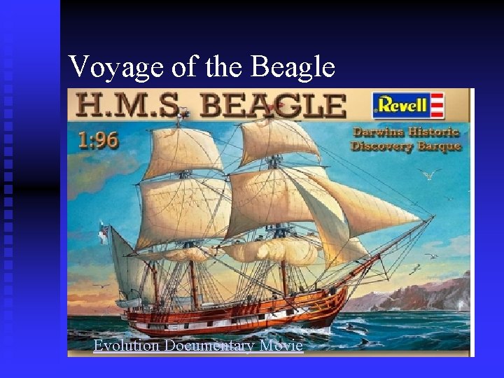 Voyage of the Beagle Evolution Documentary Movie 