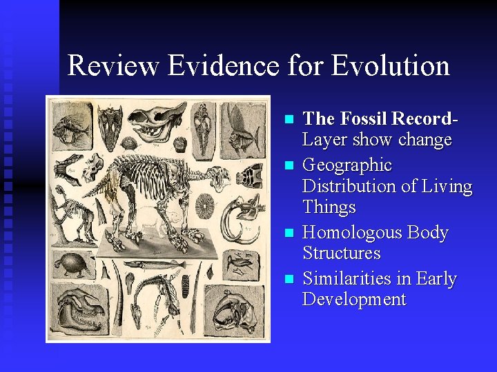 Review Evidence for Evolution n n The Fossil Record. Layer show change Geographic Distribution