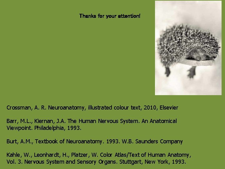 Thanks for your attention! Crossman, A. R. Neuroanatomy, illustrated colour text, 2010, Elsevier Barr,