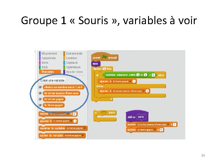 Groupe 1 « Souris » , variables à voir 24 