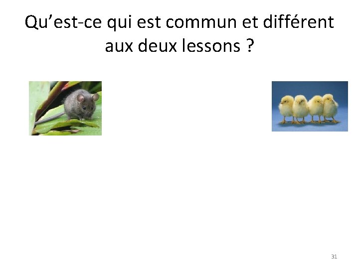 Qu’est-ce qui est commun et différent aux deux lessons ? 31 