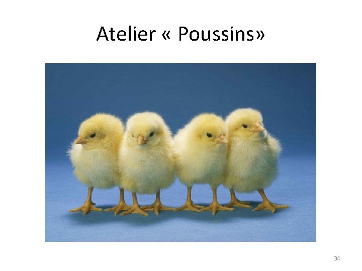 Atelier « Poussins» 34 