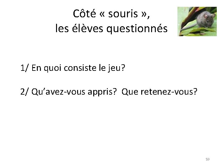 Côté « souris » , les élèves questionnés 1/ En quoi consiste le jeu?