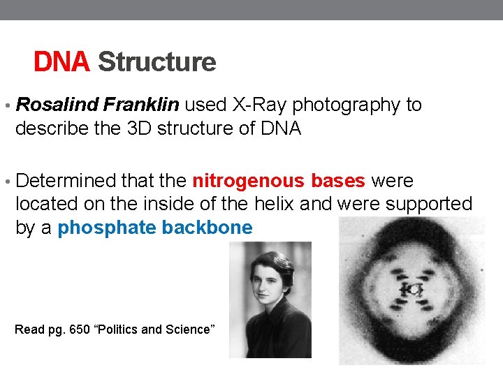 DNA Structure • Rosalind Franklin used X-Ray photography to describe the 3 D structure