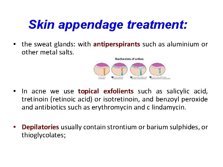 Skin appendage treatment: • the sweat glands: with antiperspirants such as aluminium or other