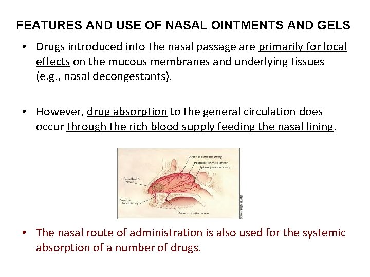 FEATURES AND USE OF NASAL OINTMENTS AND GELS • Drugs introduced into the nasal