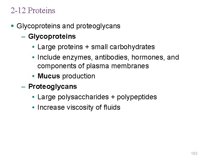 2 -12 Proteins § Glycoproteins and proteoglycans – Glycoproteins • Large proteins + small