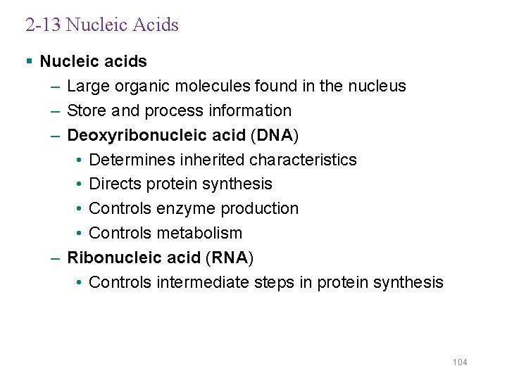 2 -13 Nucleic Acids § Nucleic acids – Large organic molecules found in the