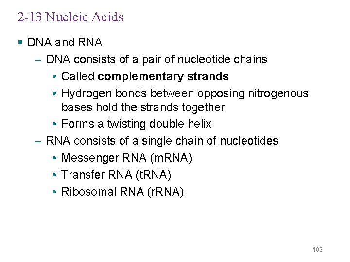 2 -13 Nucleic Acids § DNA and RNA – DNA consists of a pair