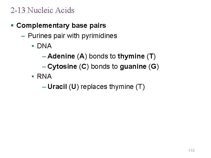 2 -13 Nucleic Acids § Complementary base pairs – Purines pair with pyrimidines •