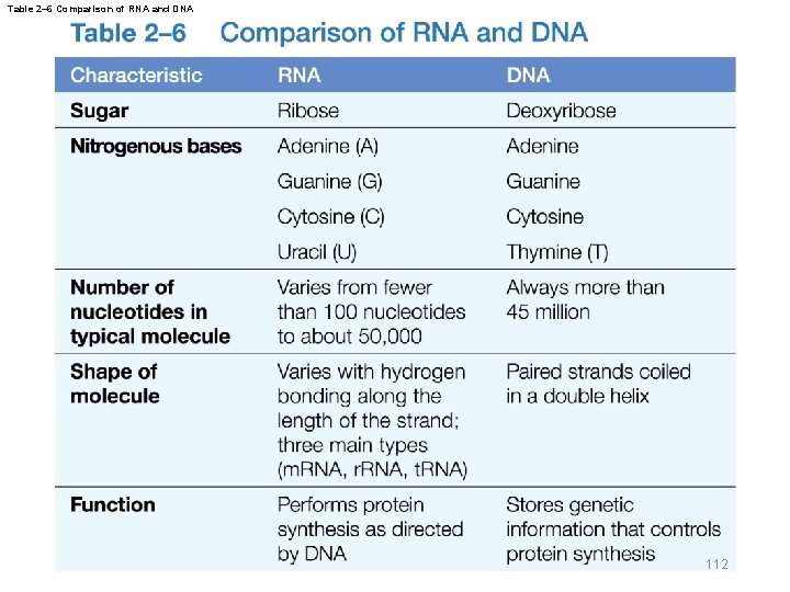 Table 2– 6 Comparison of RNA and DNA 112 