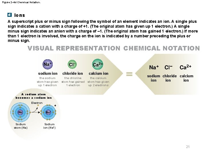 Figure 2– 4 d Chemical Notation. d Ions A superscript plus or minus sign