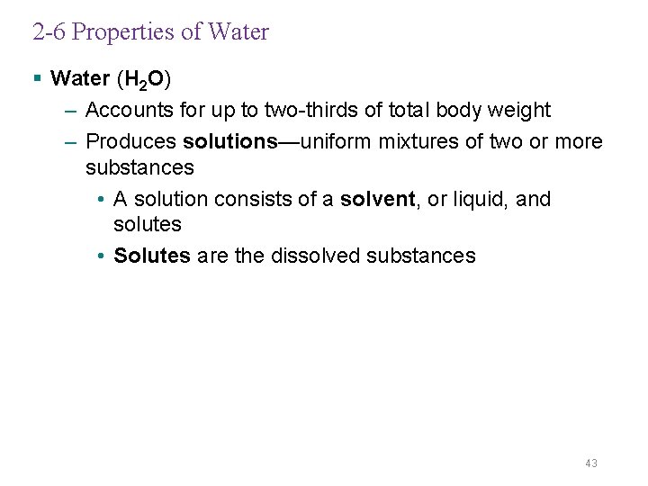 2 -6 Properties of Water § Water (H 2 O) – Accounts for up