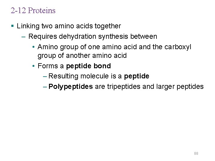 2 -12 Proteins § Linking two amino acids together – Requires dehydration synthesis between