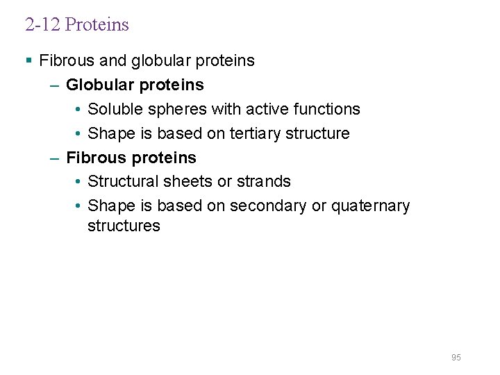 2 -12 Proteins § Fibrous and globular proteins – Globular proteins • Soluble spheres