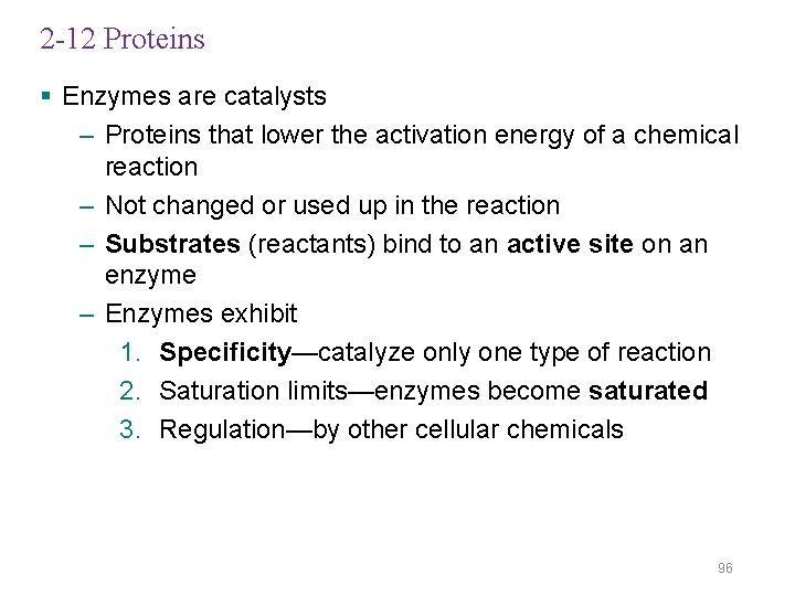 2 -12 Proteins § Enzymes are catalysts – Proteins that lower the activation energy