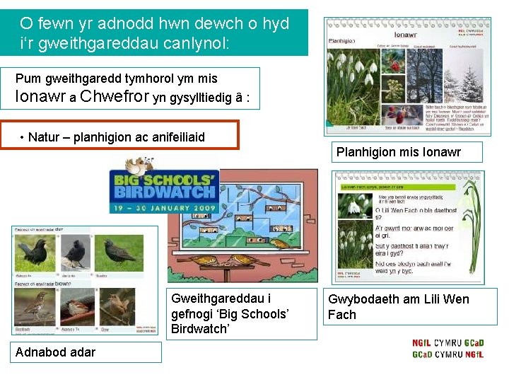 O fewn yr adnodd hwn dewch o hyd i‘r gweithgareddau canlynol: Pum gweithgaredd tymhorol