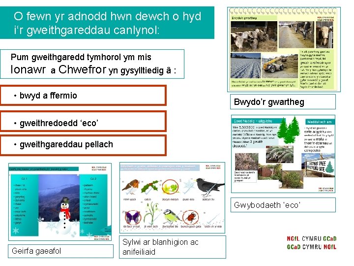 O fewn yr adnodd hwn dewch o hyd i‘r gweithgareddau canlynol: Pum gweithgaredd tymhorol O fewn yr adnodd hwn dewch o hyd i‘r gweithgareddau canlynol: Pum gweithgaredd tymhorol